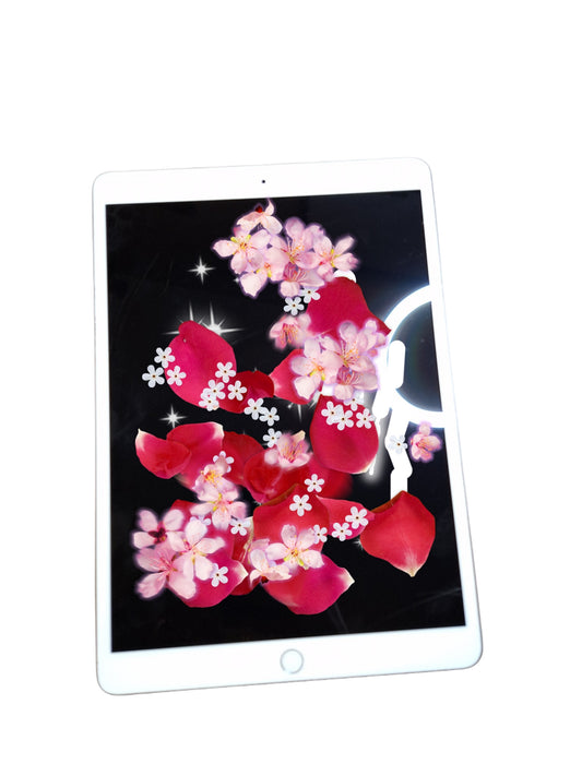 iPad Pro 10.5-inch 256GB Pre-owned
